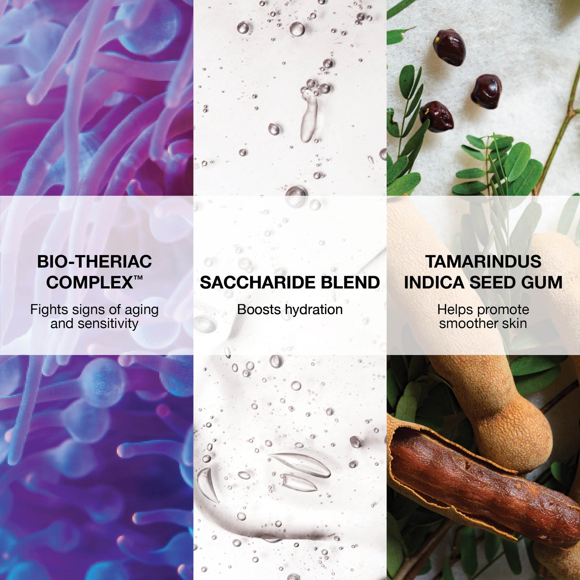 Bio-Theriac Complex: fights signs of aging and sensitivity. Saccharide blend: boosts hydration. Tamarindus Indica seed gum: helps promote smoother skin. 